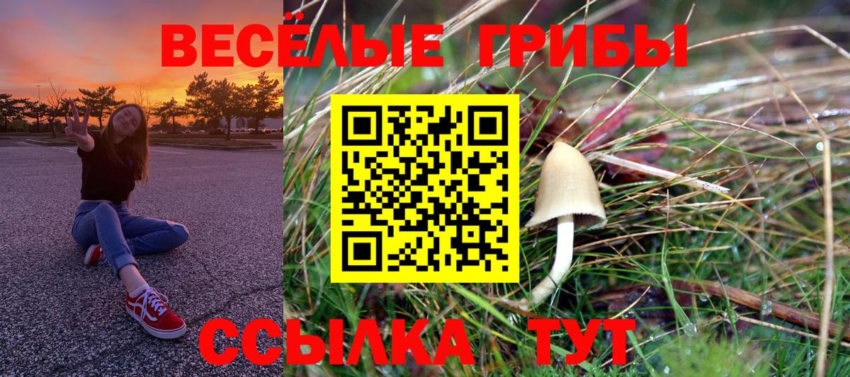 Галлюциногенные грибы Psilocybine cubensis  Галлюциногенные грибы Cubensis  Вход с VPN  Солнечногорск 