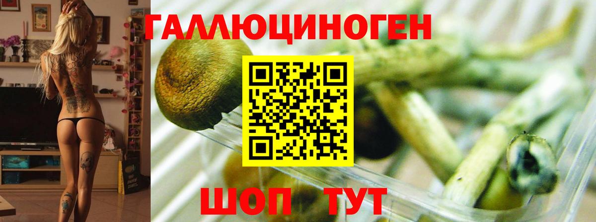 Псилоцибиновые грибы Magic Shrooms Солнечногорск